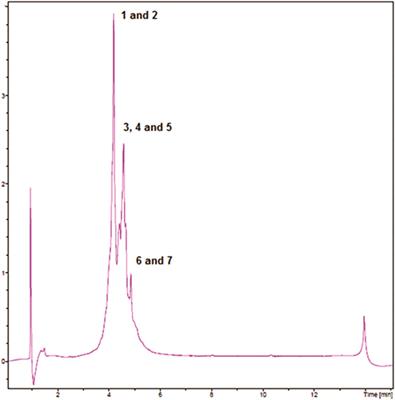 Antinociceptive effect of Nephelium lappaceum L. fruit peel and the participation of nitric oxide, opioid receptors, and ATP-sensitive potassium channels